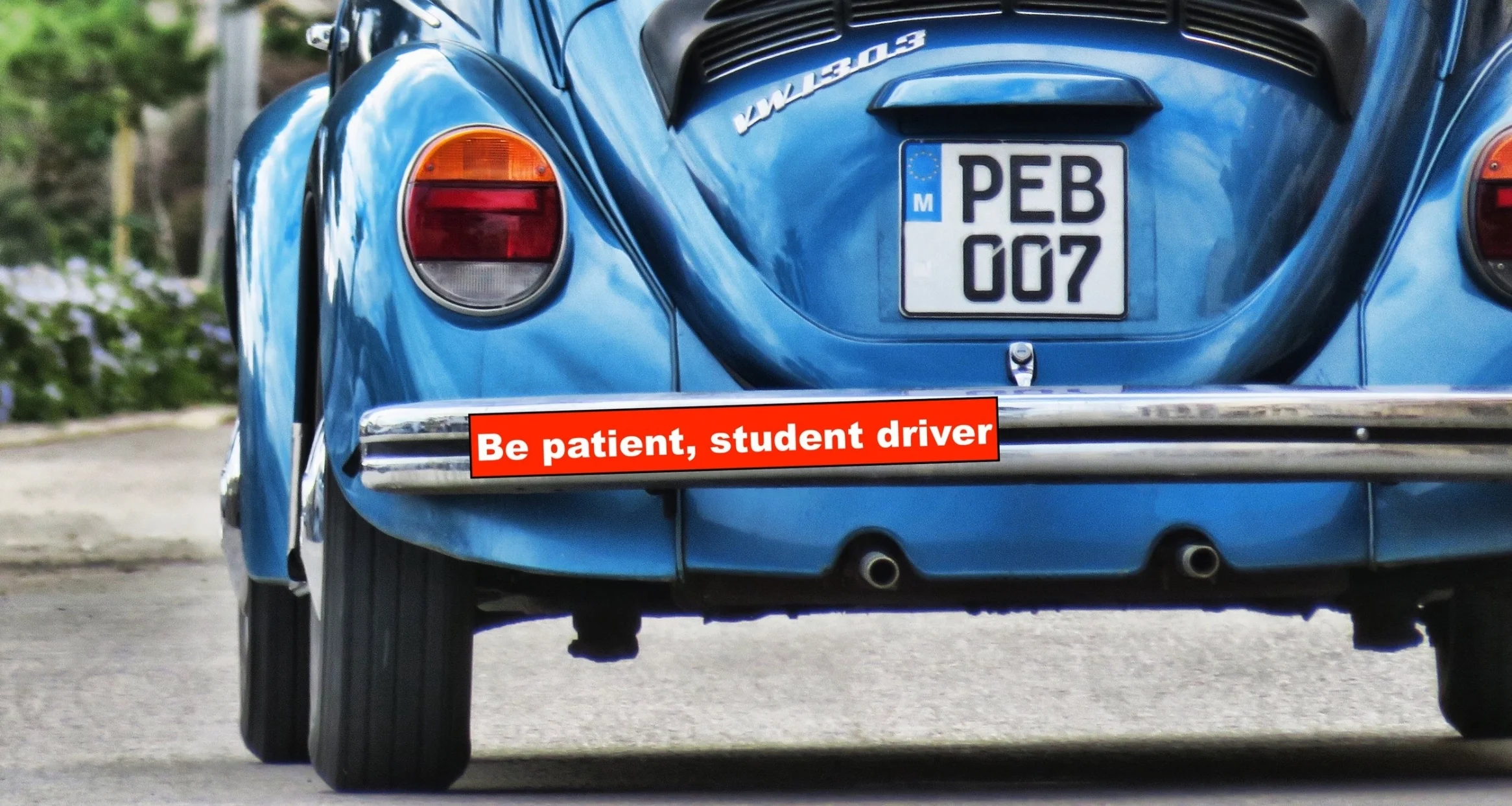 student driver.jpeg