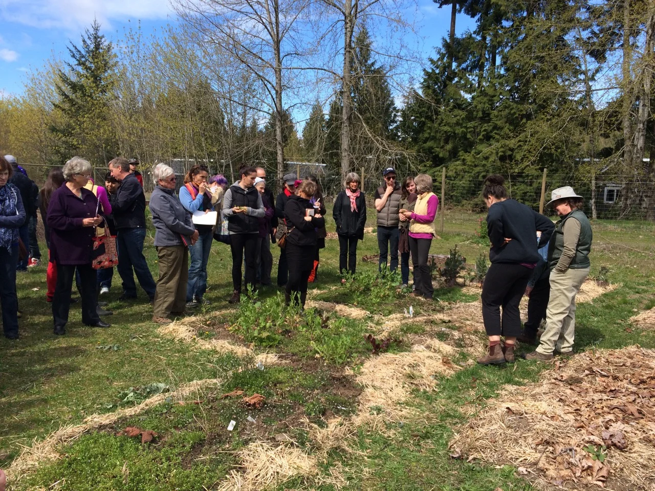 Kwalikum Food Forest, Qualicum Beach