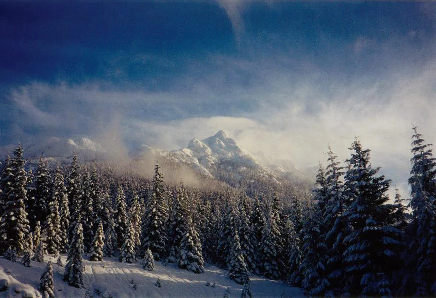 Mount Arrowsmith by Peter Rothermel