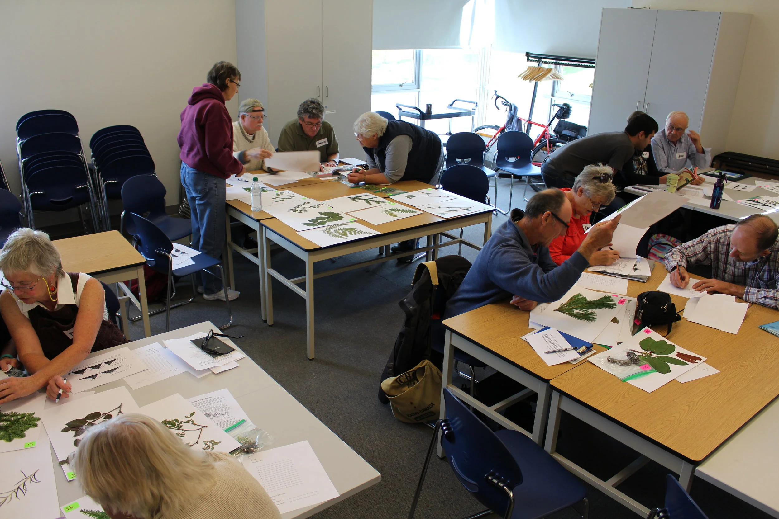 Students identified plant species that can be found in the Mount Arrowsmith Biosphere Region