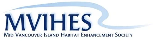 MVIHES Logo_1.jpg