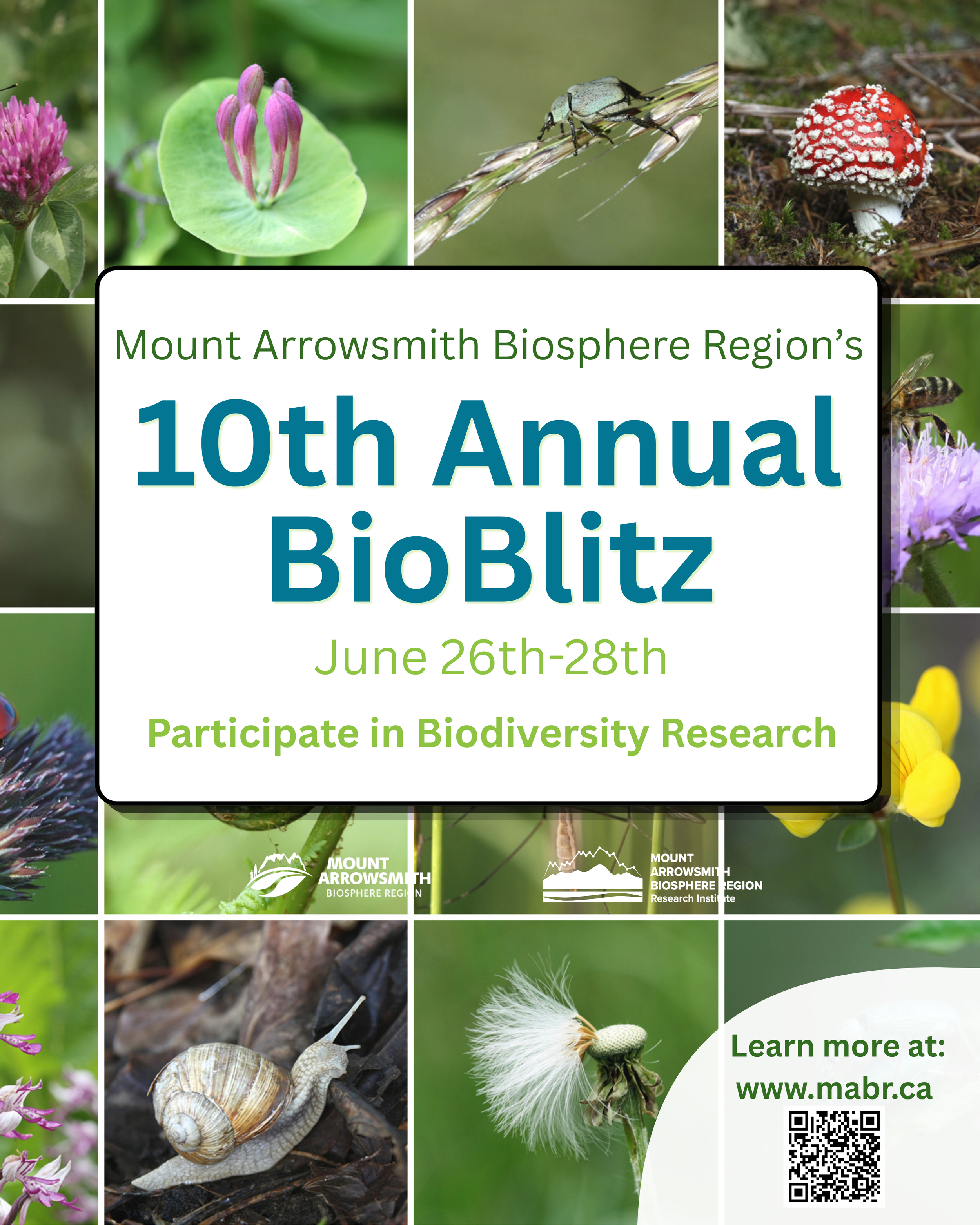 2026 MABR BioBlitz