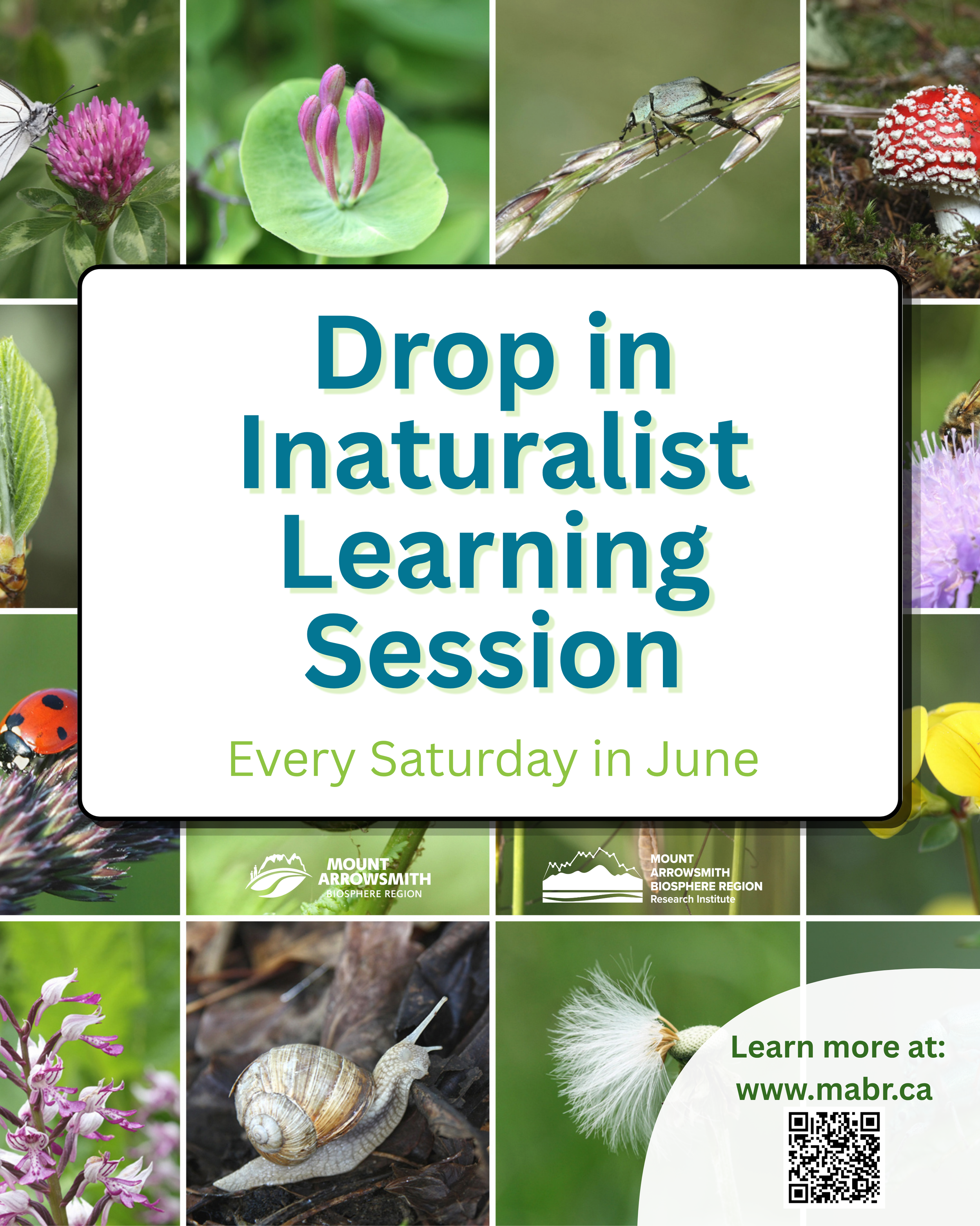 Drop-in iNaturalist learning sessions