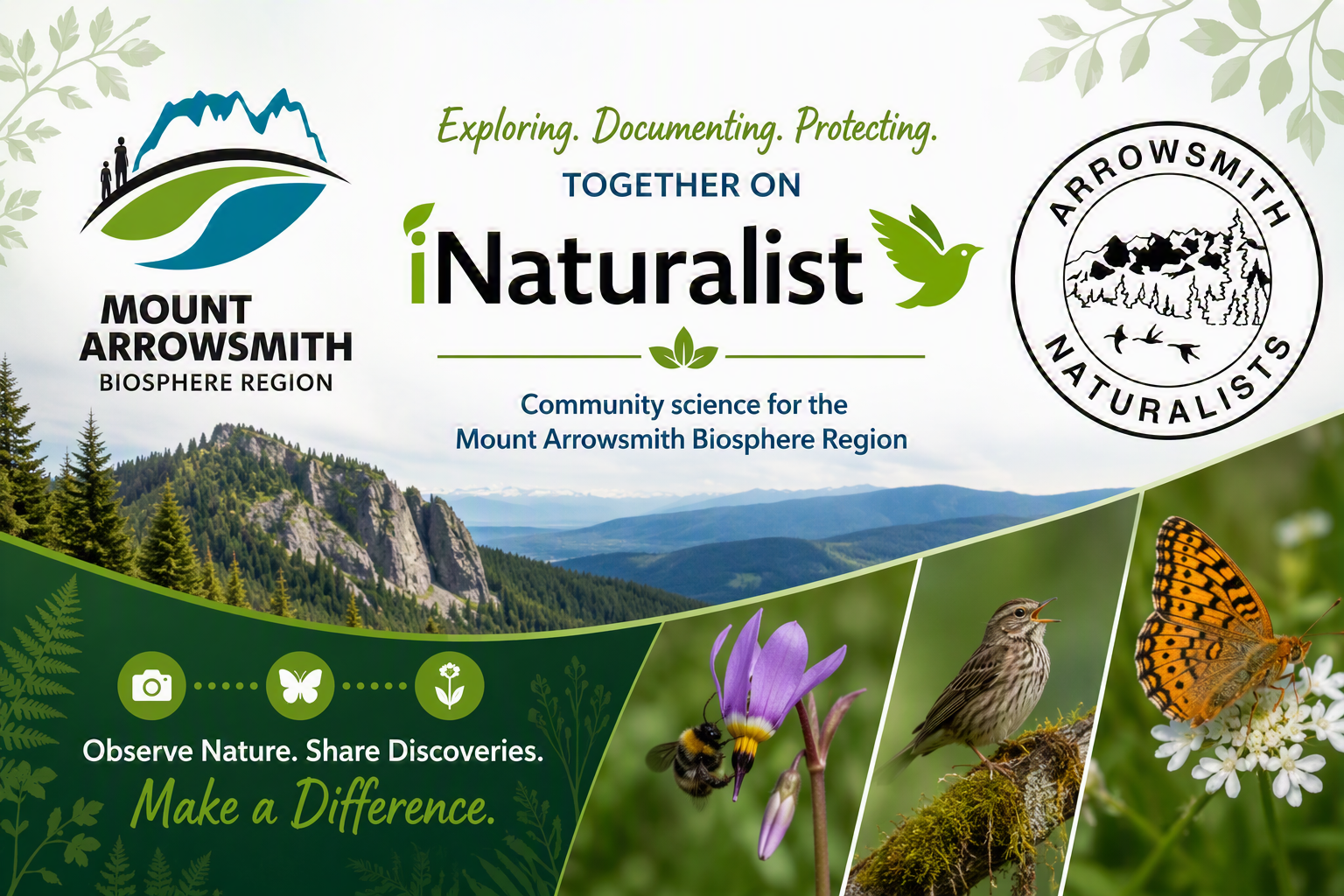 Monthly BioBlitz with Arrowsmith Naturalists