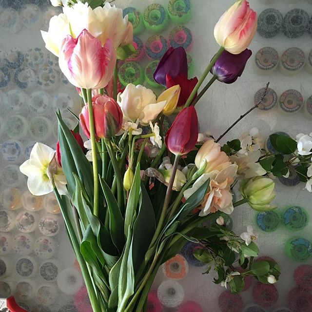 My Christmas present in May, thanks @itsyourbuoy and @valleybudsflowerfarm #csa #tulips #appleblossom #daffodils