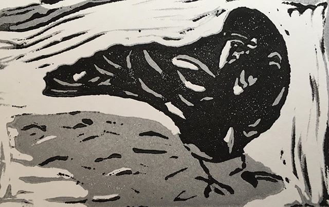 My first attempt at reduction printing. This crow was my buddy on Cox Bay beach on a sunny June afternoon. I was inspired by Allison Tremain, printmaker from Ucluelet and Gordon James printmaker on Quadra Island. Allison was so generous to share her 