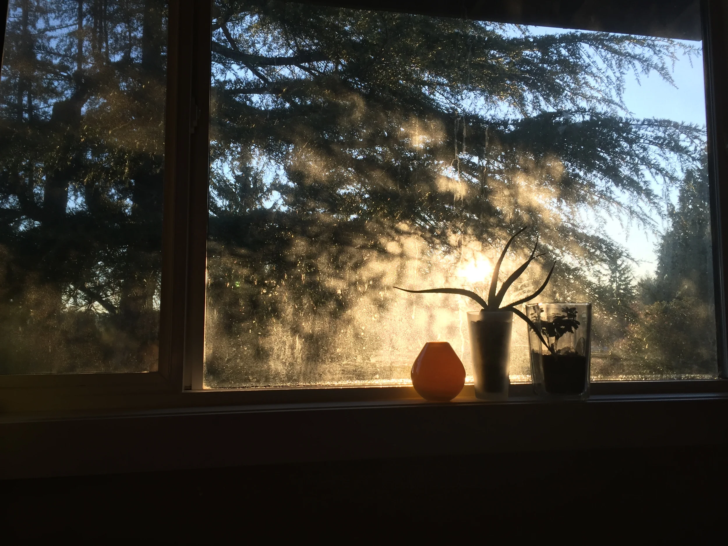 The Brook Kidron a little Bible study — The JeskyBera Blog