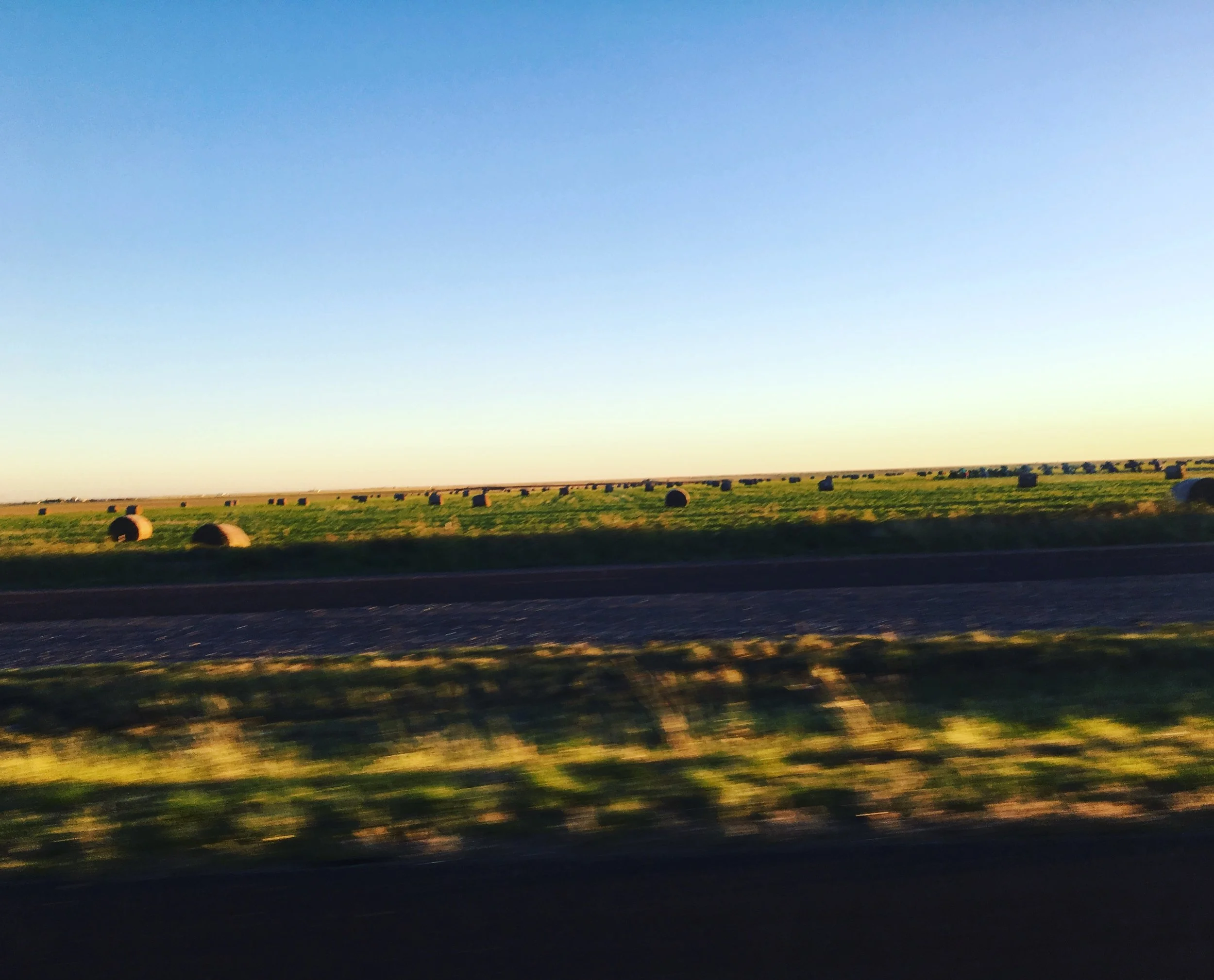 Landscape Love