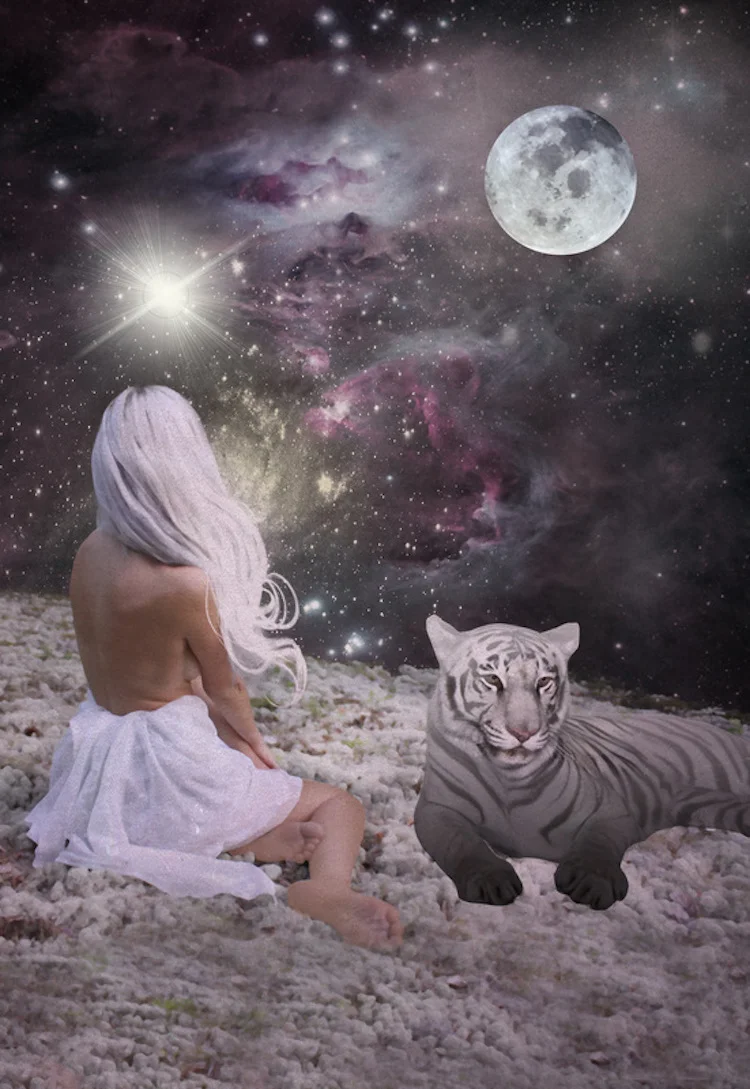 Artwork by The Starchild Tarot.