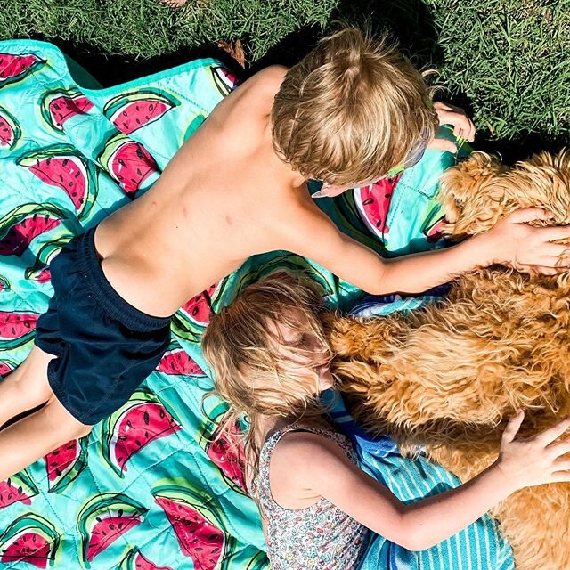 Taking an afternoon swimming break in their new pool to warm up some in the sun! As I&rsquo;m sitting here watching them it&rsquo;s making me realize just how much we have to be grateful for. If you told me 5 years ago that we would be &lsquo;wealthy