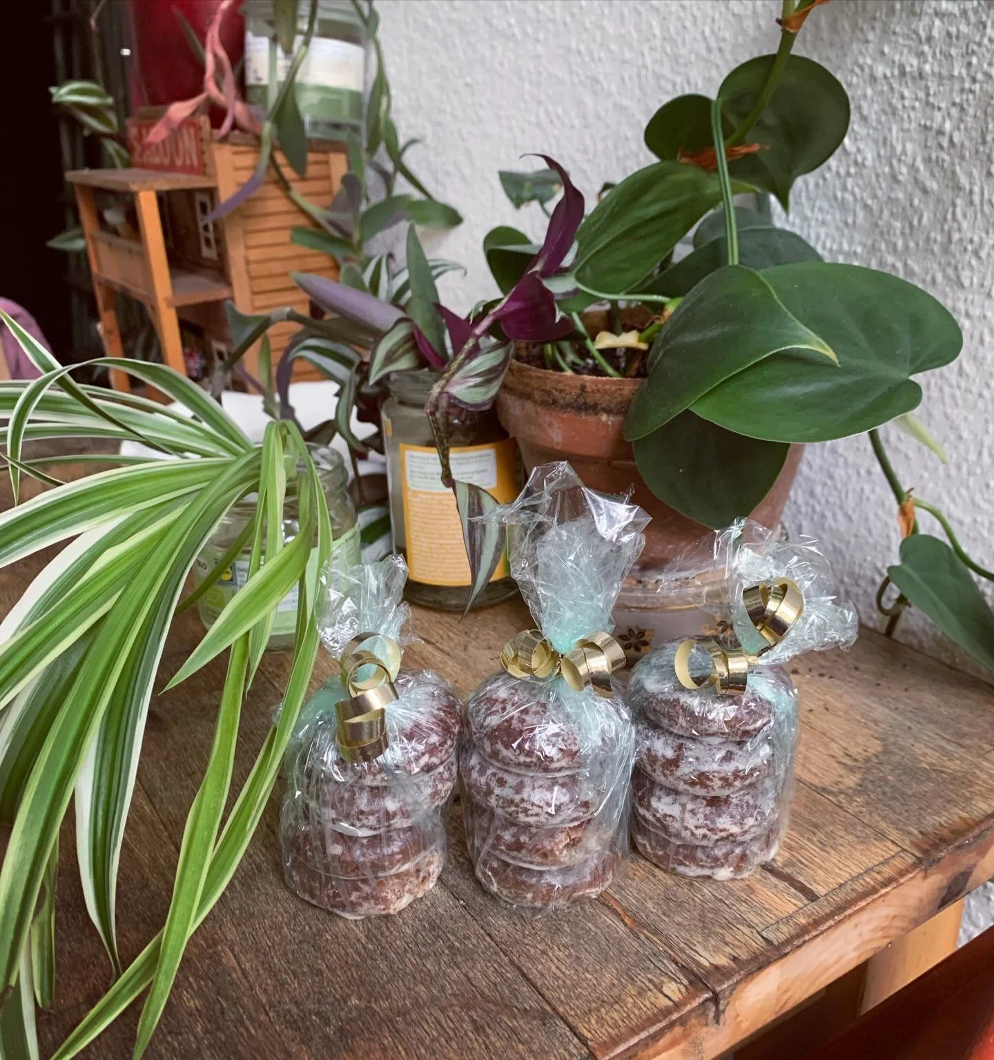 Sometimes when I teach @visionaryschoolofreiki Courses in December, they fall on St. Nicholas Day 🥰✨🥾🍫💓
⠀
It&rsquo;s a tradition we don&rsquo;t have in the US, so coming to know it after moving to Berlin ~10 years ago has been very sweet 🍭 (in t