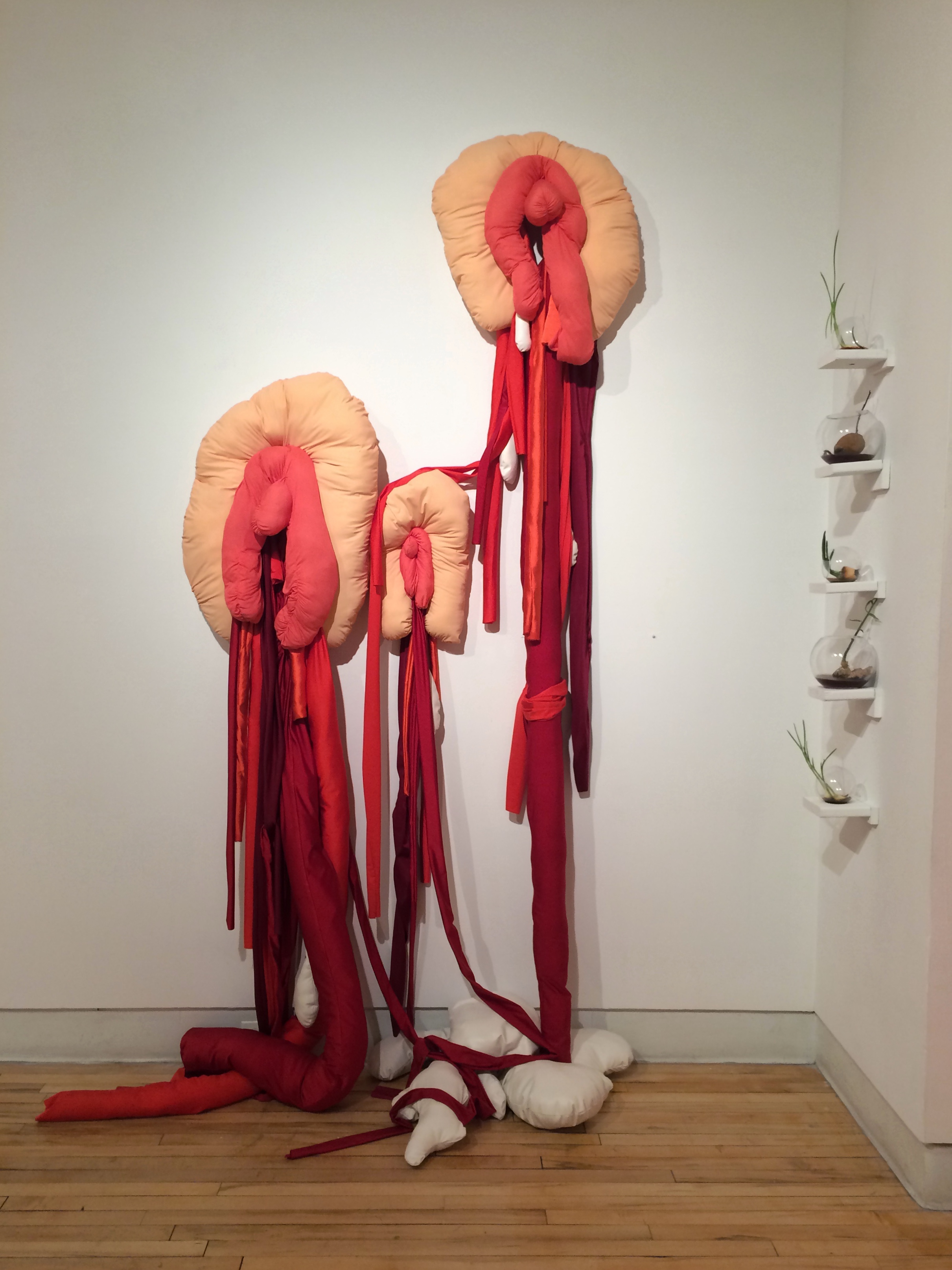 The installation was exhibited during the BFA Visual and Critical Studies Thesis Show in January 2016. At it's highest, the soft sculpture is approximately ten feet high.