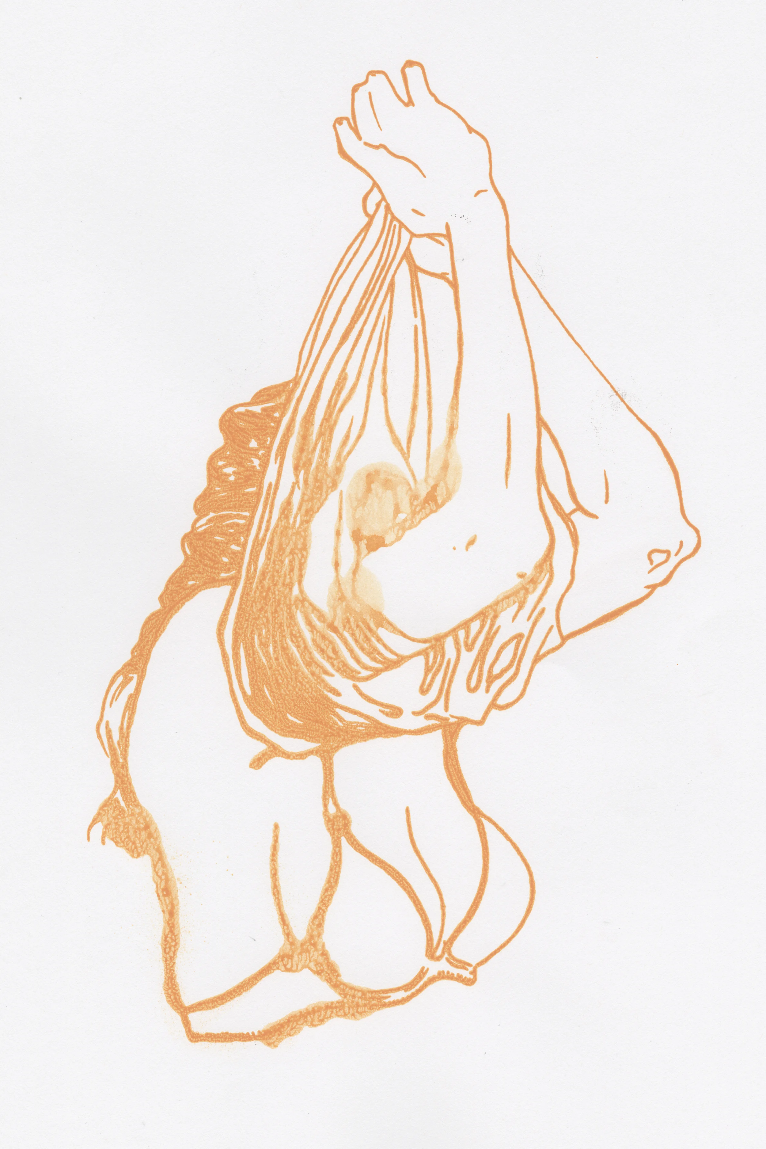 orangeonwhite.jpg