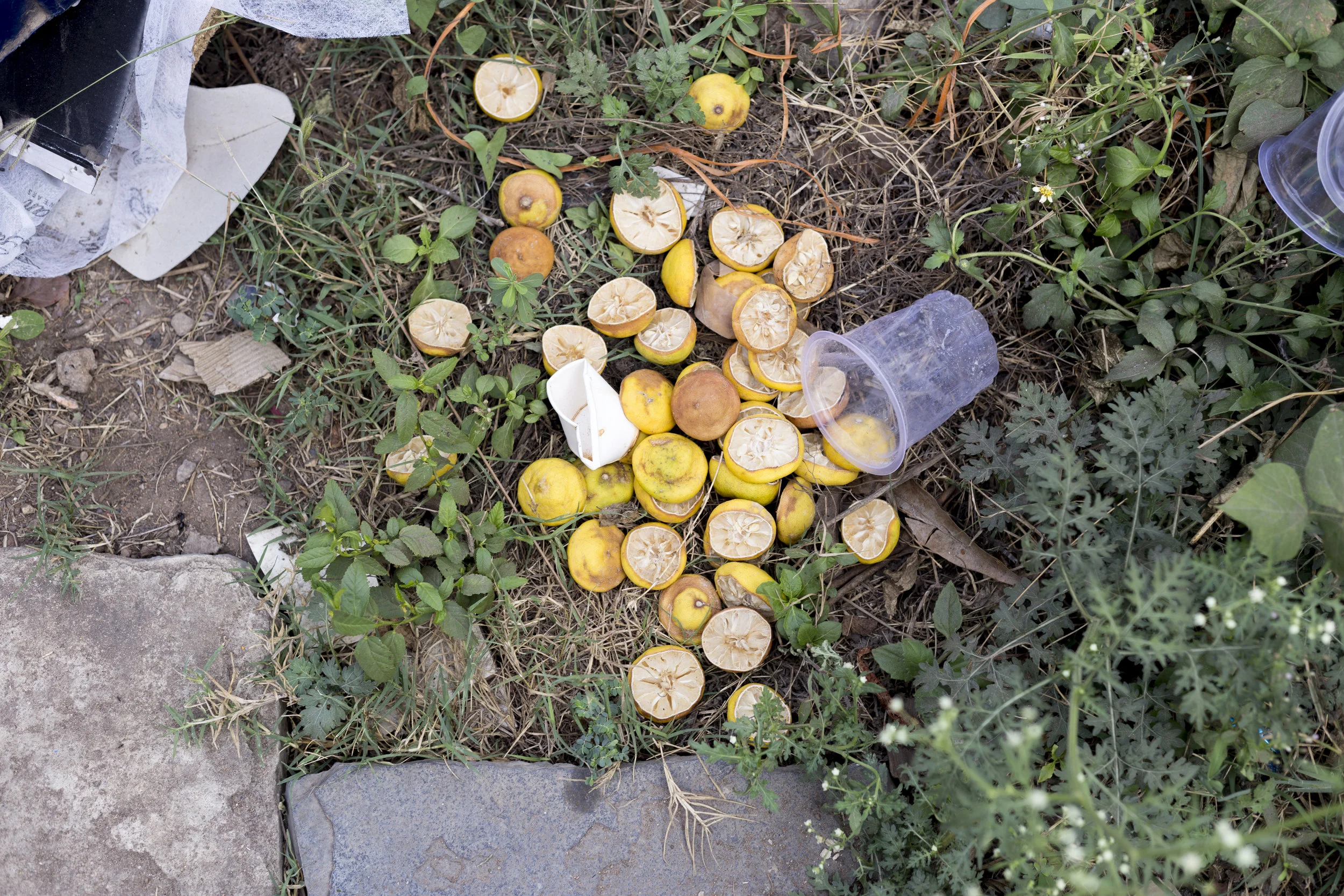 Lemons used to make the solution. 