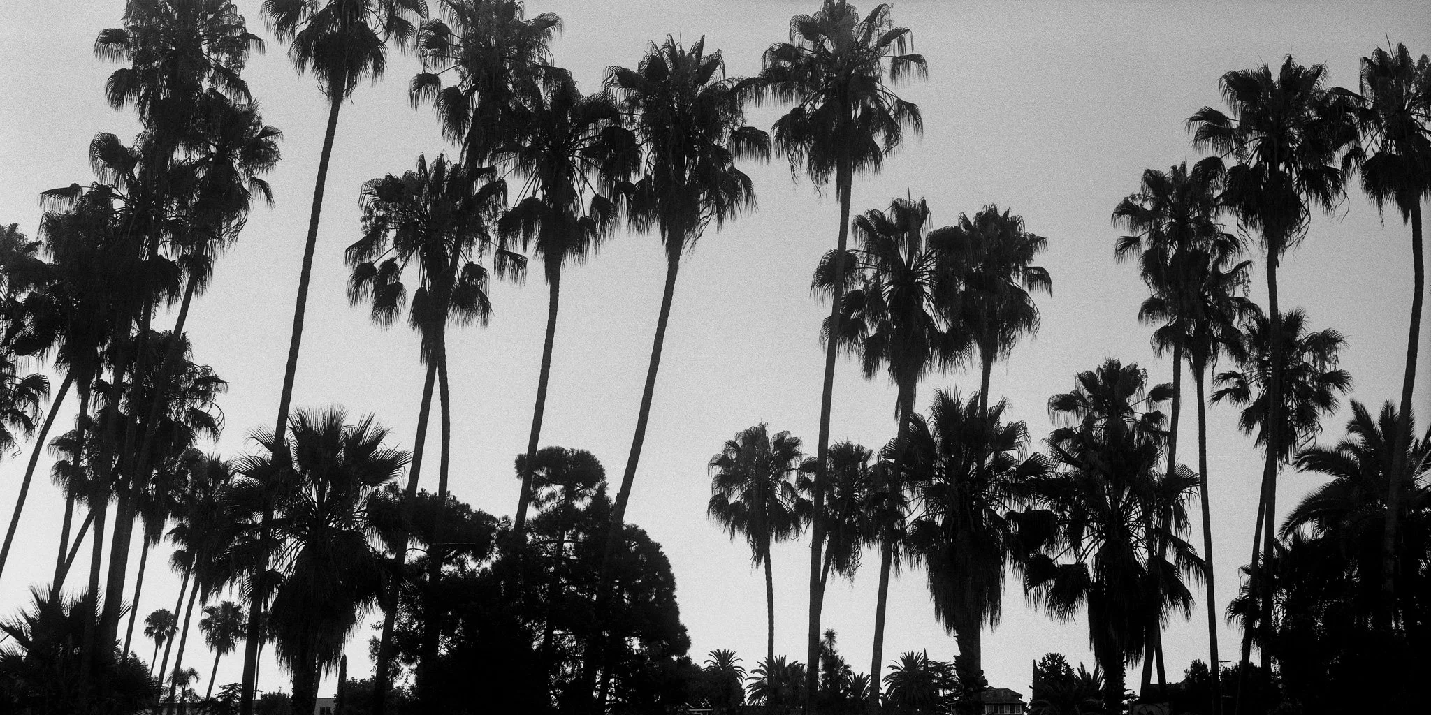 24_0814_KRAKEN_HP5_01.jpg