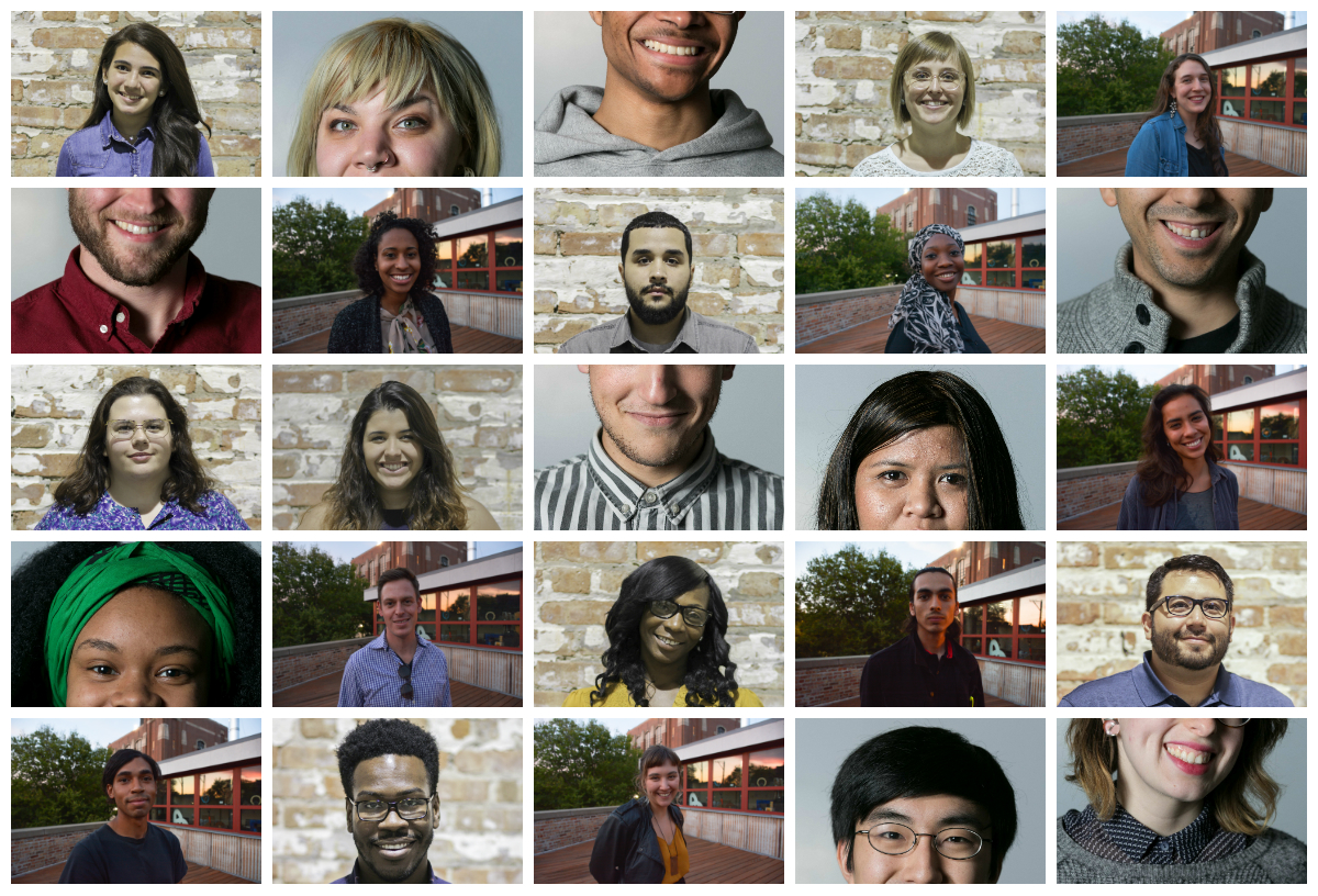 fellows headshot collage .jpg