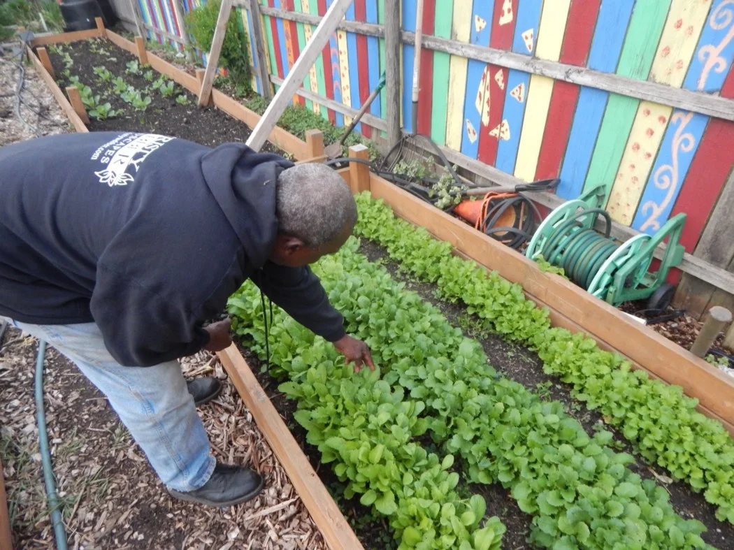 Taylor also promotes healthy foods and works as a community organizer. (Photo: Darien Boyd)
