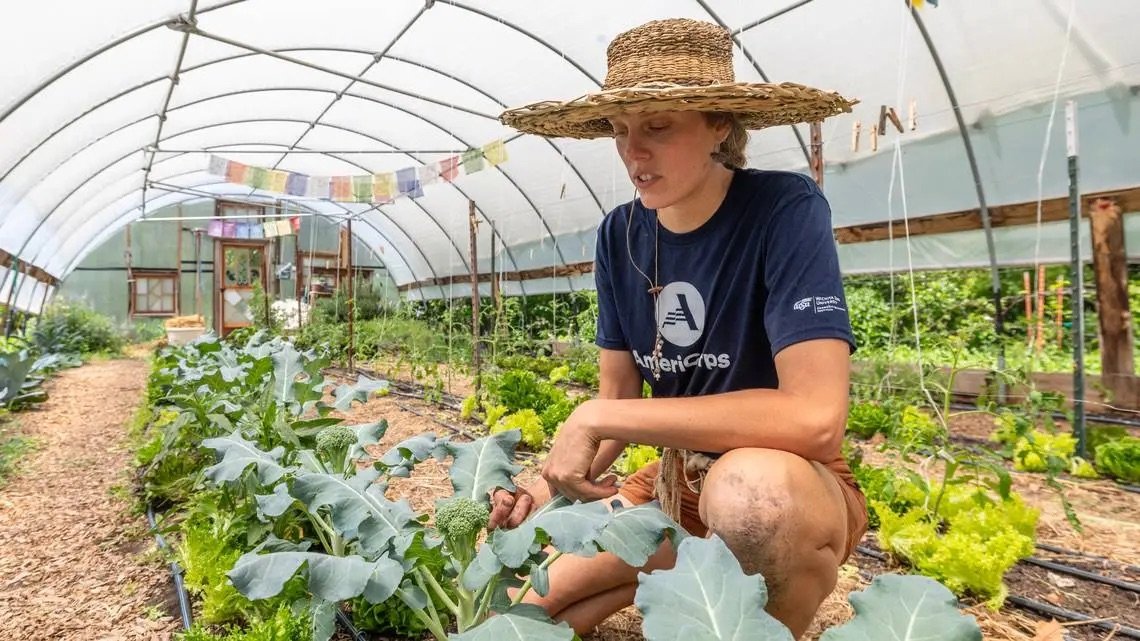 Wichita: Food Programs