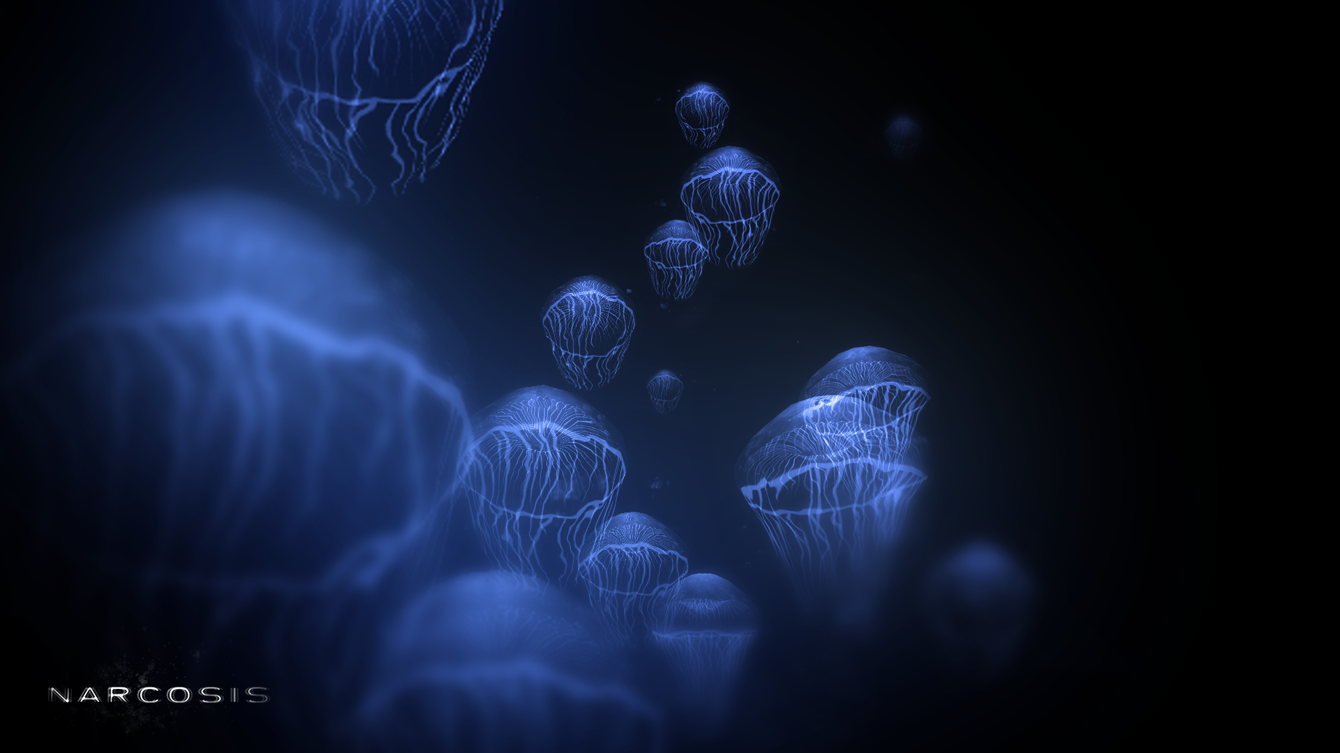 Narcosis_artwork_Jellyfish.png