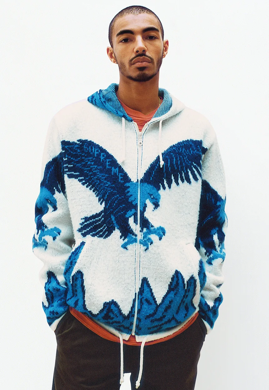 supreme-fall-winter-11_utn1vs.jpg