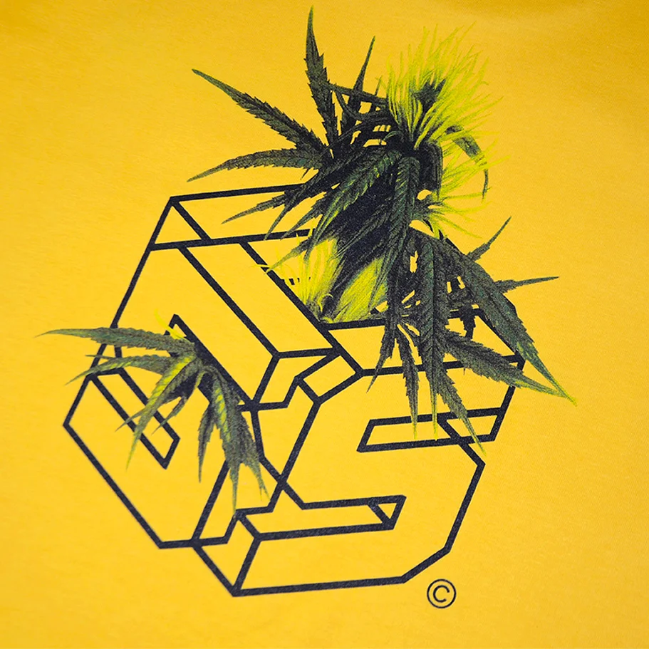 yellowbackdetail.jpg