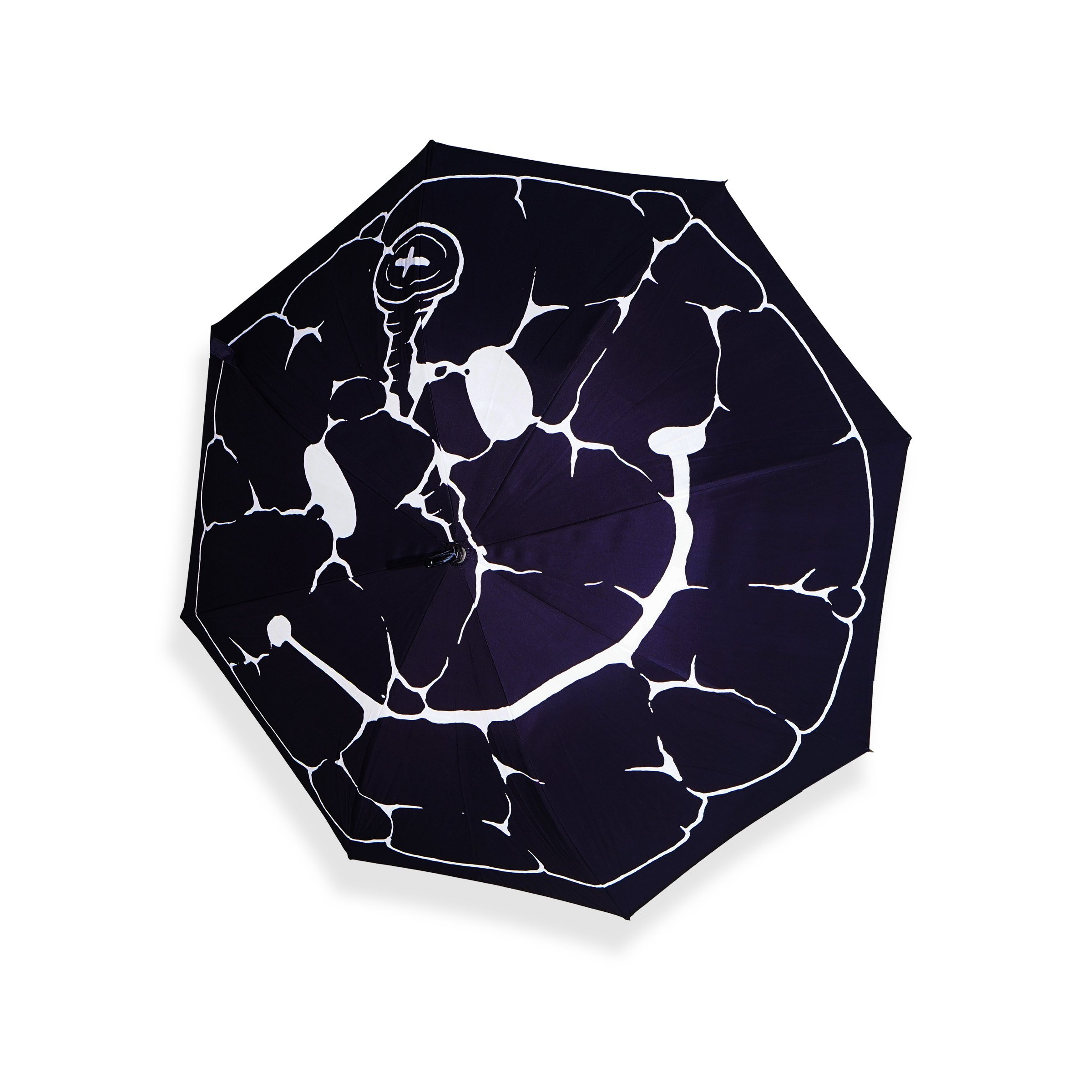 UMBRELLATOP.jpg