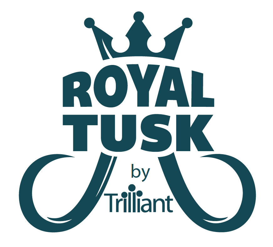 Screen Shot 2017-01-27 at 8.12.22 PM.png