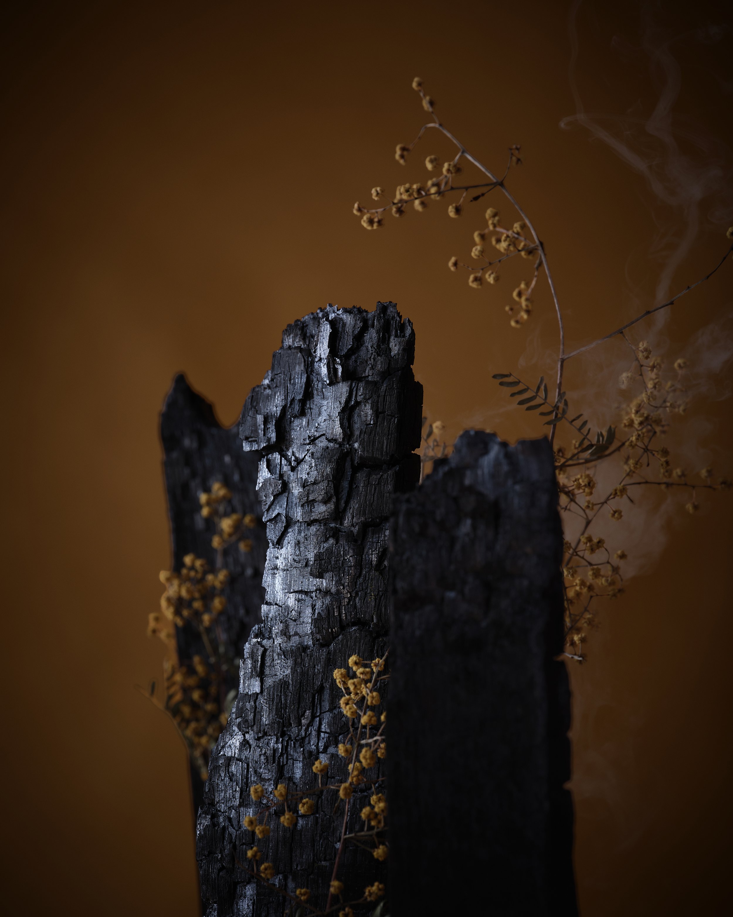 WATTLESEED-SMOKED-SINGLE-MALT-WHISKY-TEASER-V1-ARCHIE-ROSE-LO-RES.jpg