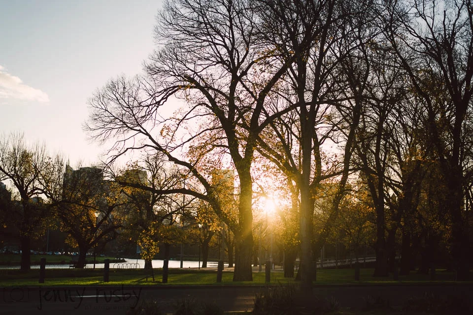 project 52 | mornington peninsula family photographer