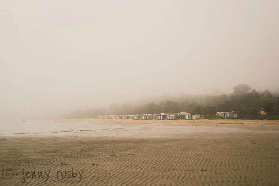 project 52 | mornington peninsula family photographer