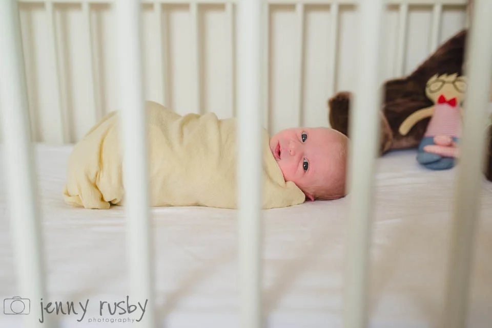 baby harrison | mornington peninsula newborn photographer
