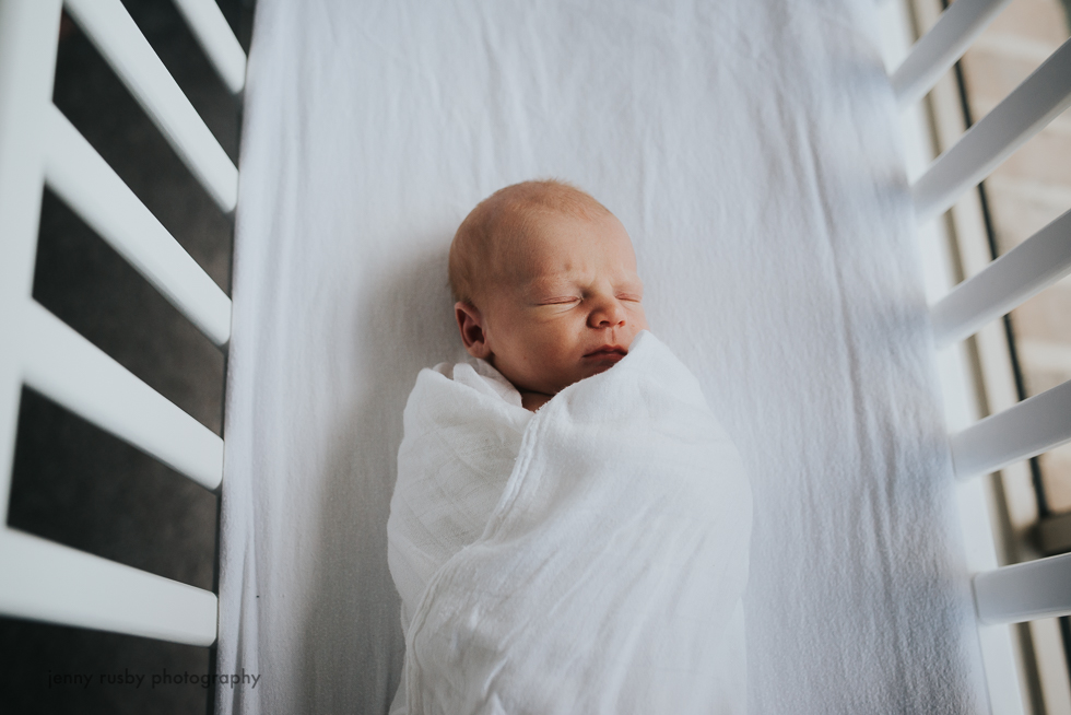 mornington peninsula newborn photographer