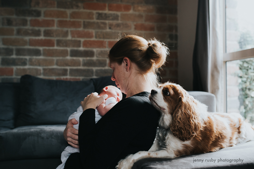 mornington peninsula newborn photographer