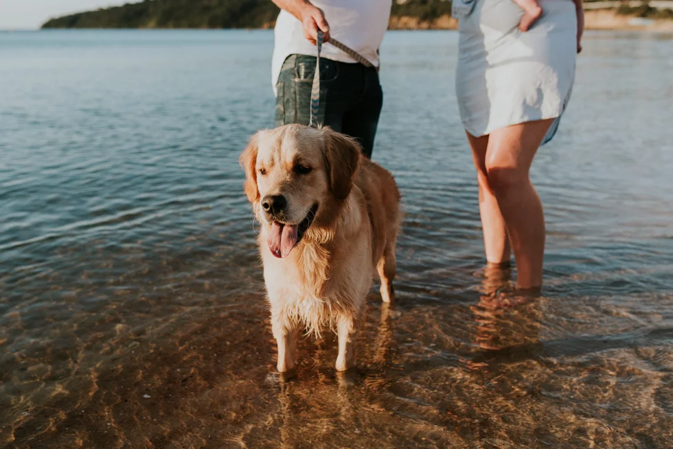 mornington peninsula family photographer