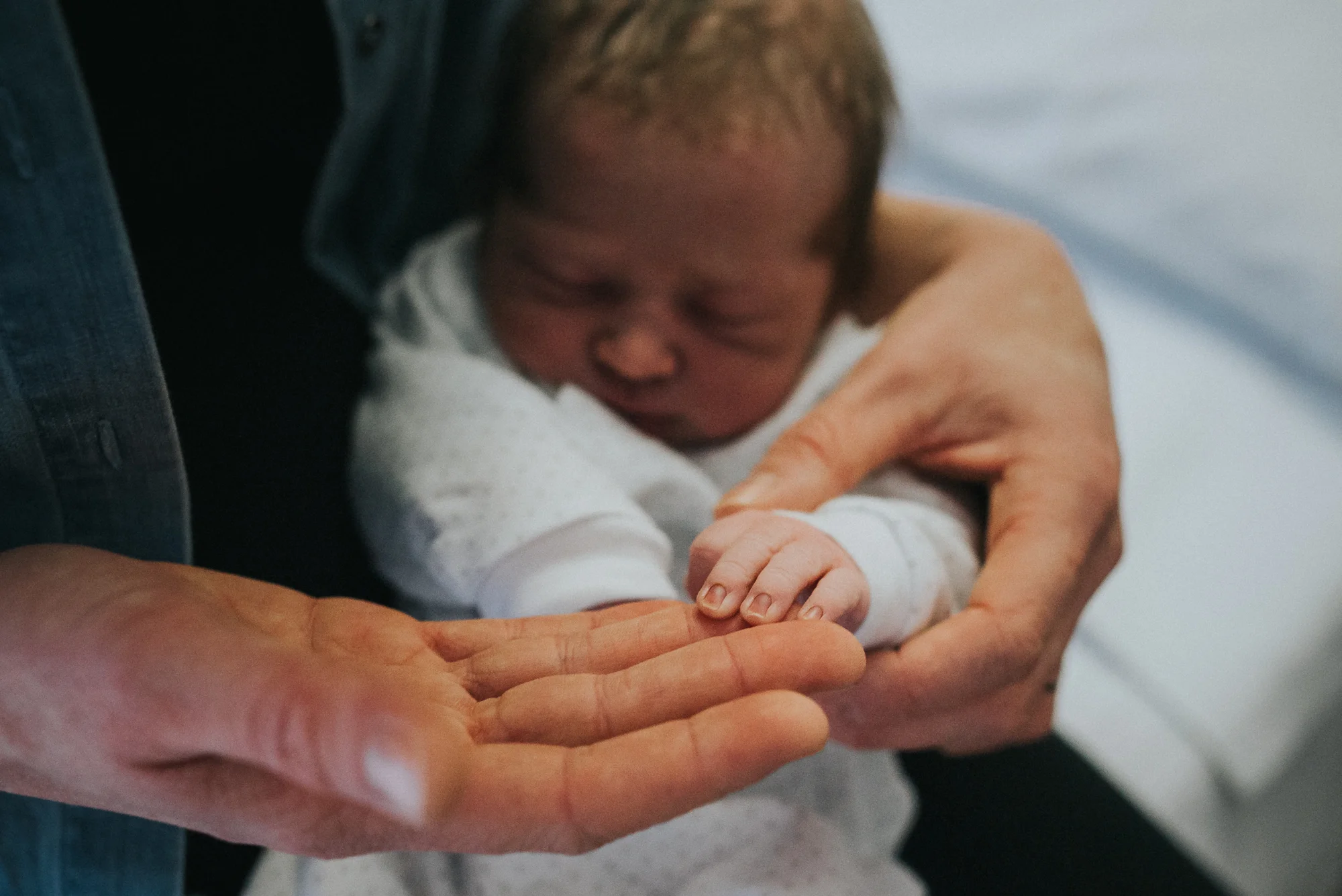 melbourne newborn photographer