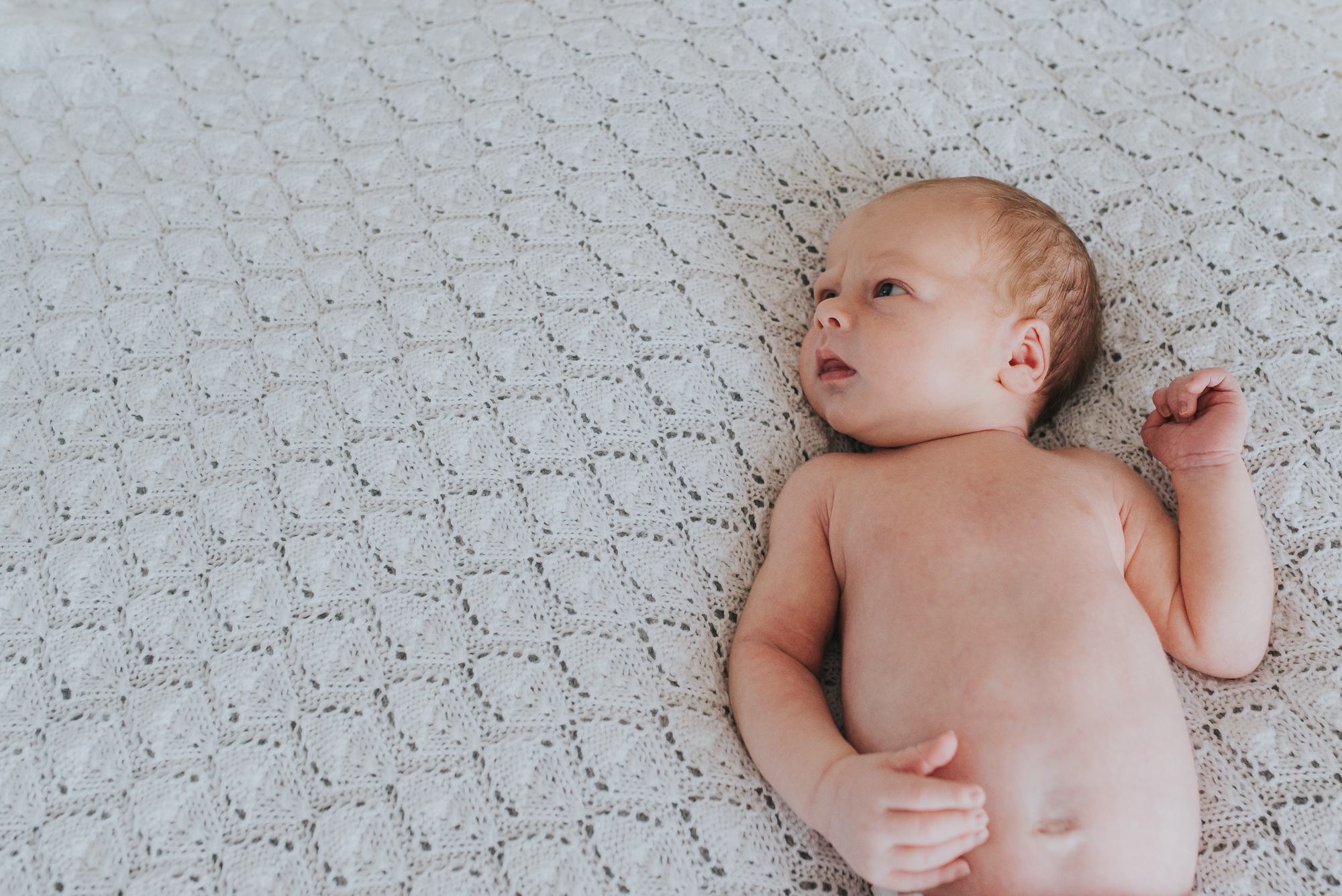 melbourne newborn photographer