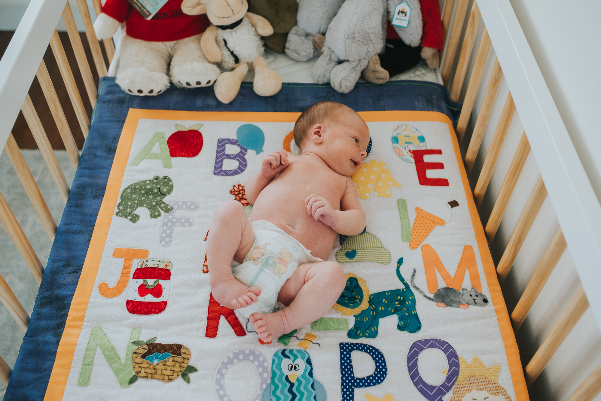 melbourne newborn photographer