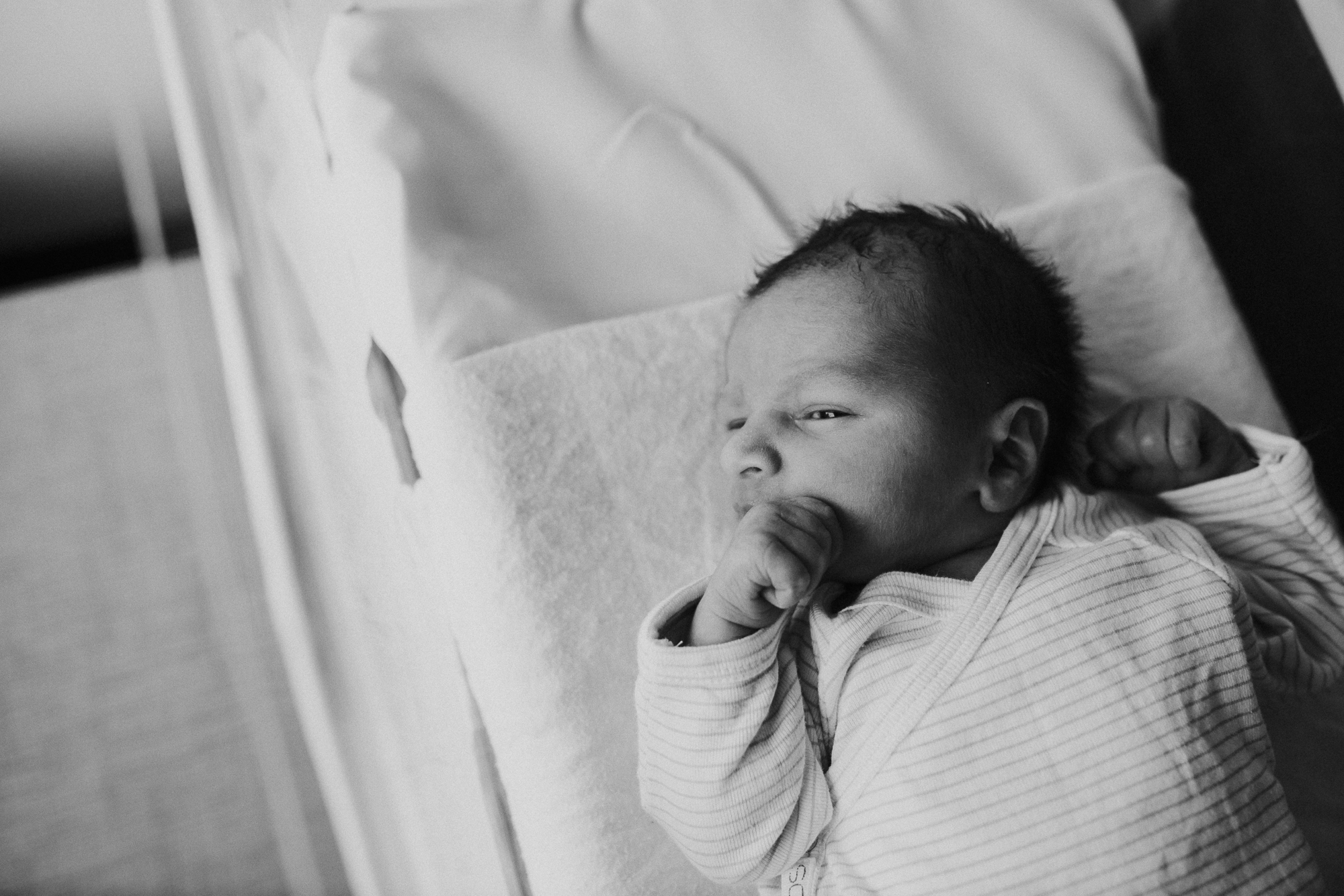 Melbourne Newborn Photographer