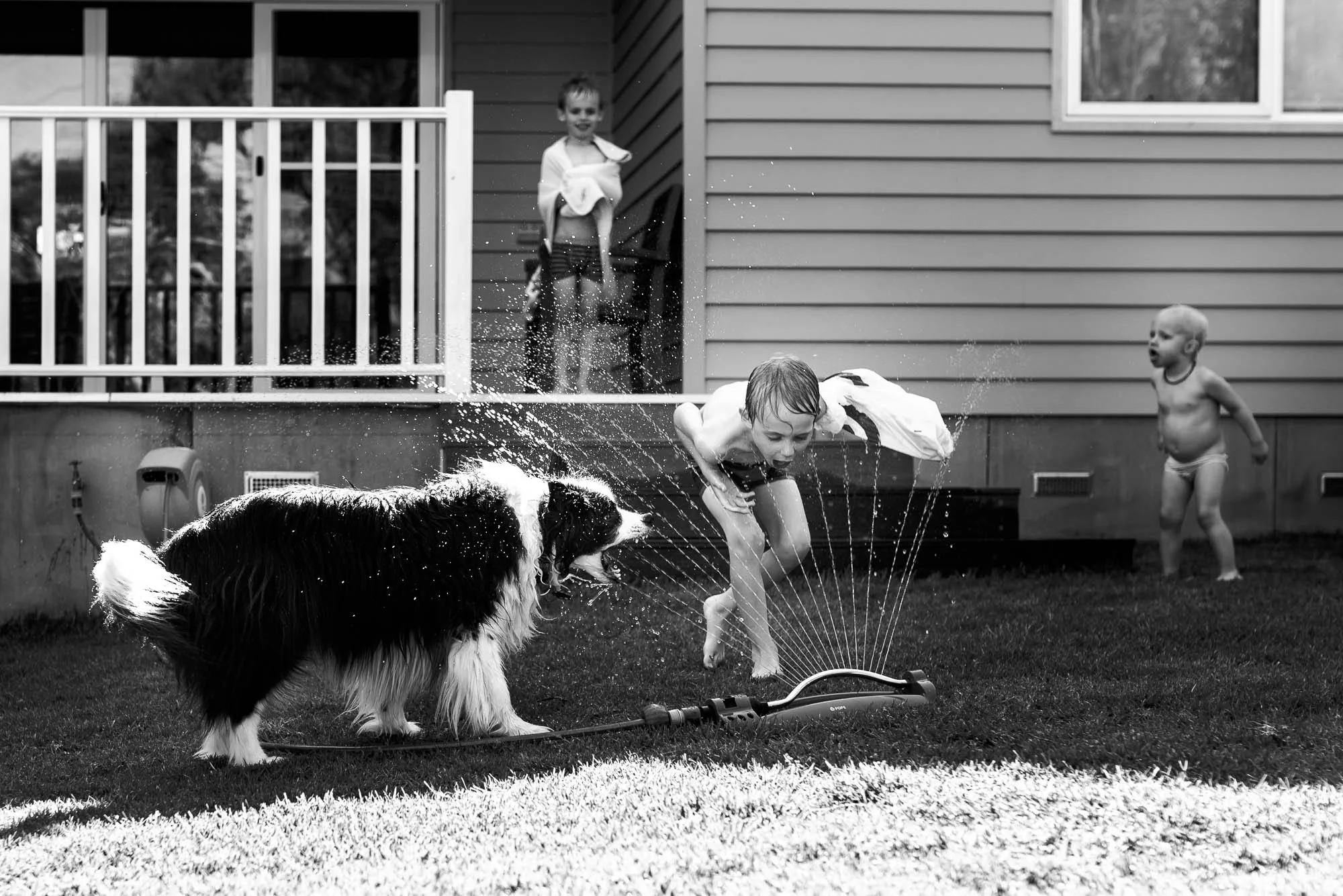 melbourne_family_photographer_children_playing_in_sprinkler_with_dog-1.jpg