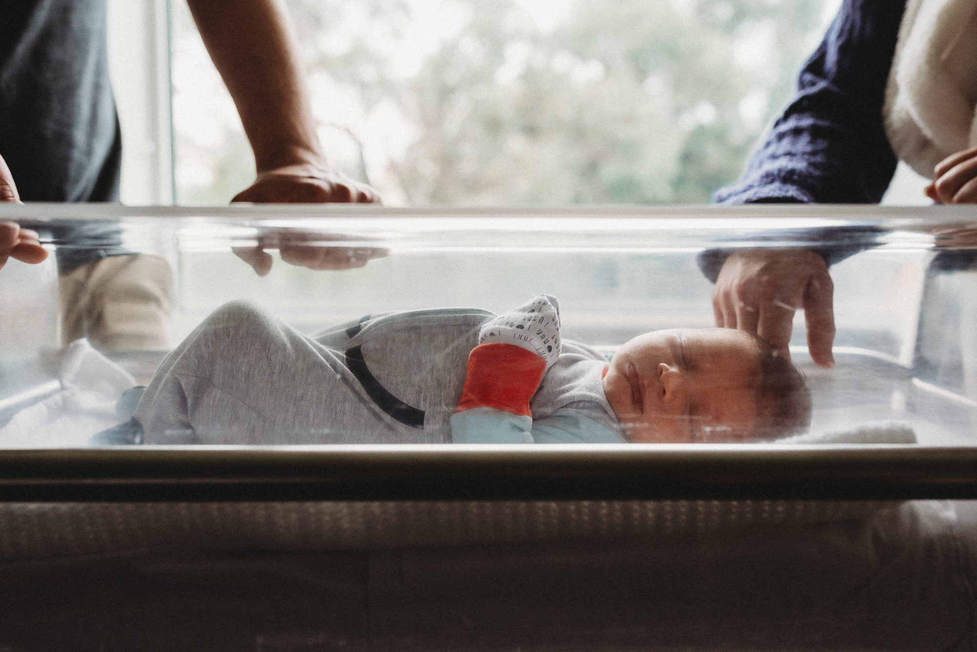 newborn photographer melbourne