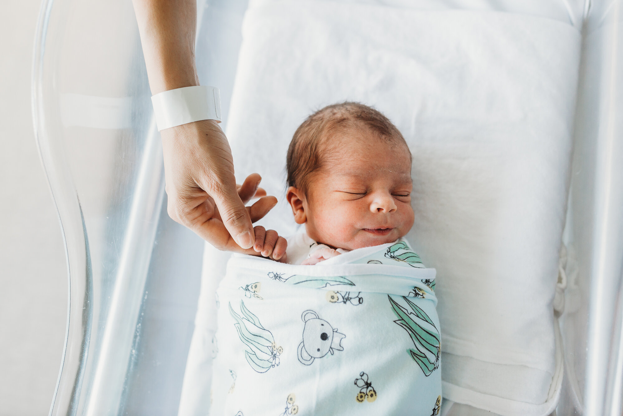 melbourne newborn photographer.jpg