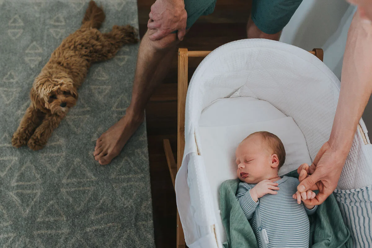 Lifestyle at Home | Self Paced Course for Photographers