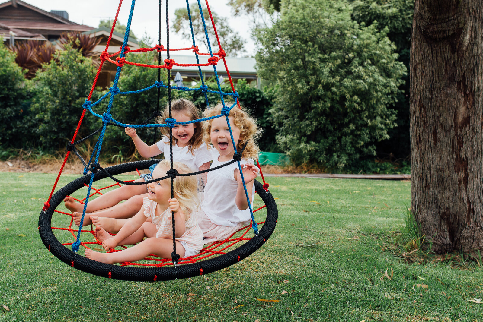 chidren_playing_together_on_tree_swing_summer_melbourne_family_photographer_in_home.jpg