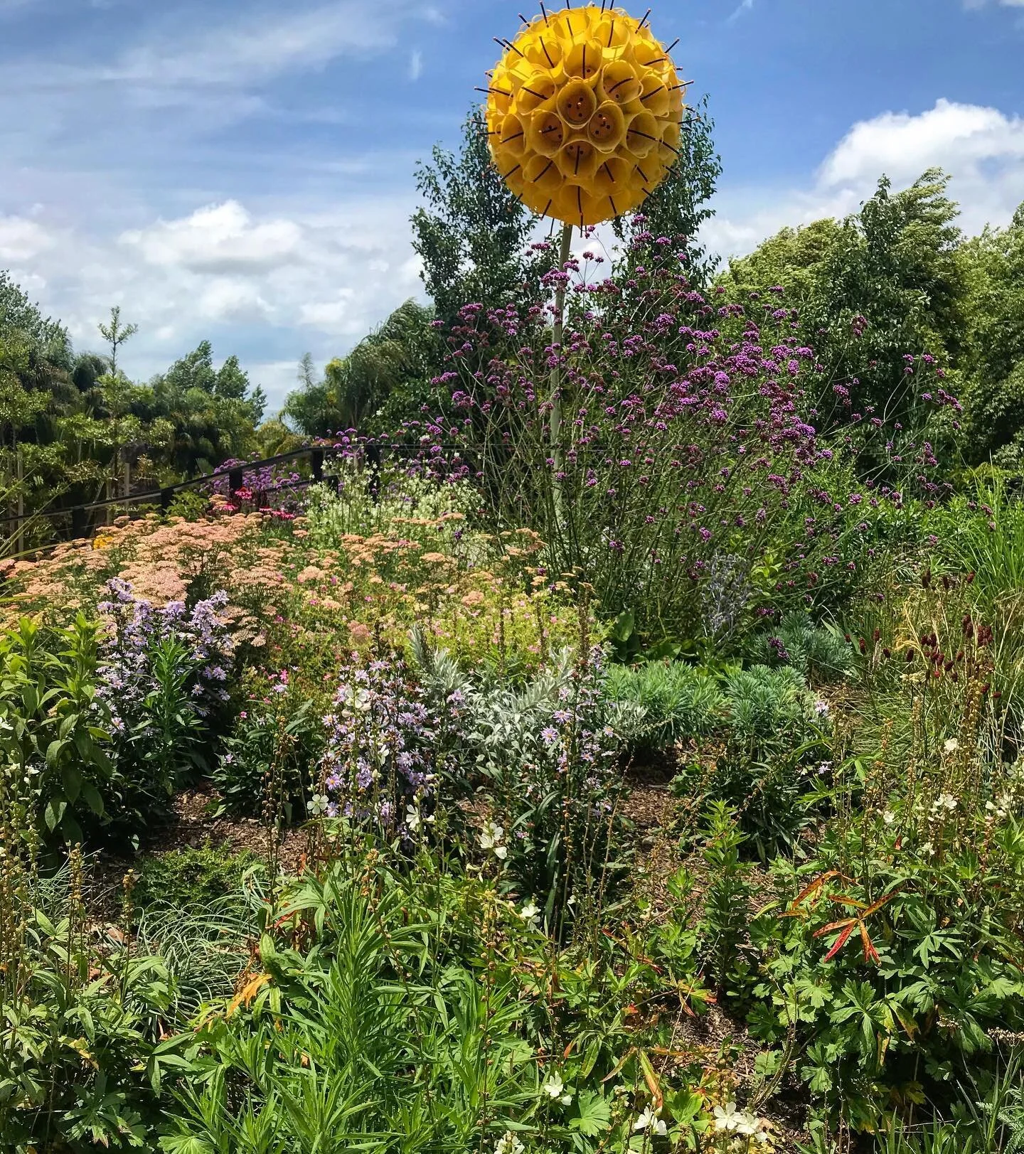 Dear friends and gardeners, come on down to @coatesvillemarket this Sunday. I&rsquo;ll be there with a variety of hardy herbaceous perennials and grasses grown by yours truly.
.
.
.
#plants #flowers #february #growing #gardens #gardendesigner #russet