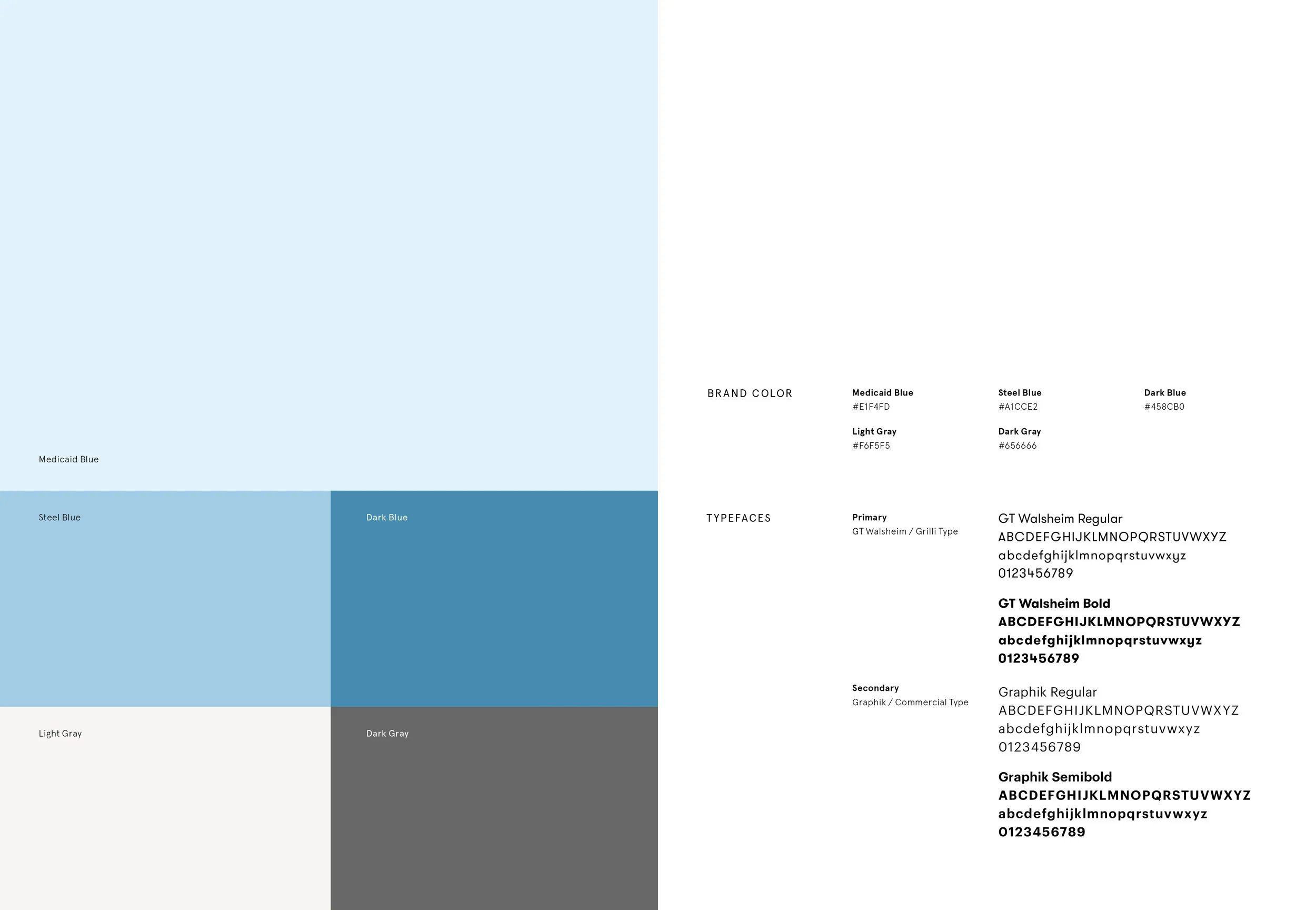 Medicaid_Styleguide.jpg