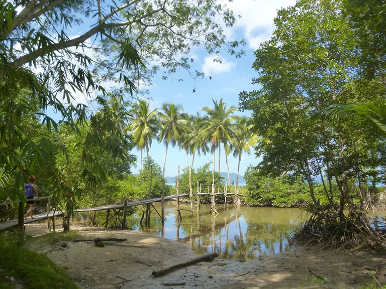 This is in the natural area of Port Barton, Palawan, Philippines, where many people still build their own houses and whatever needed, from Nature.