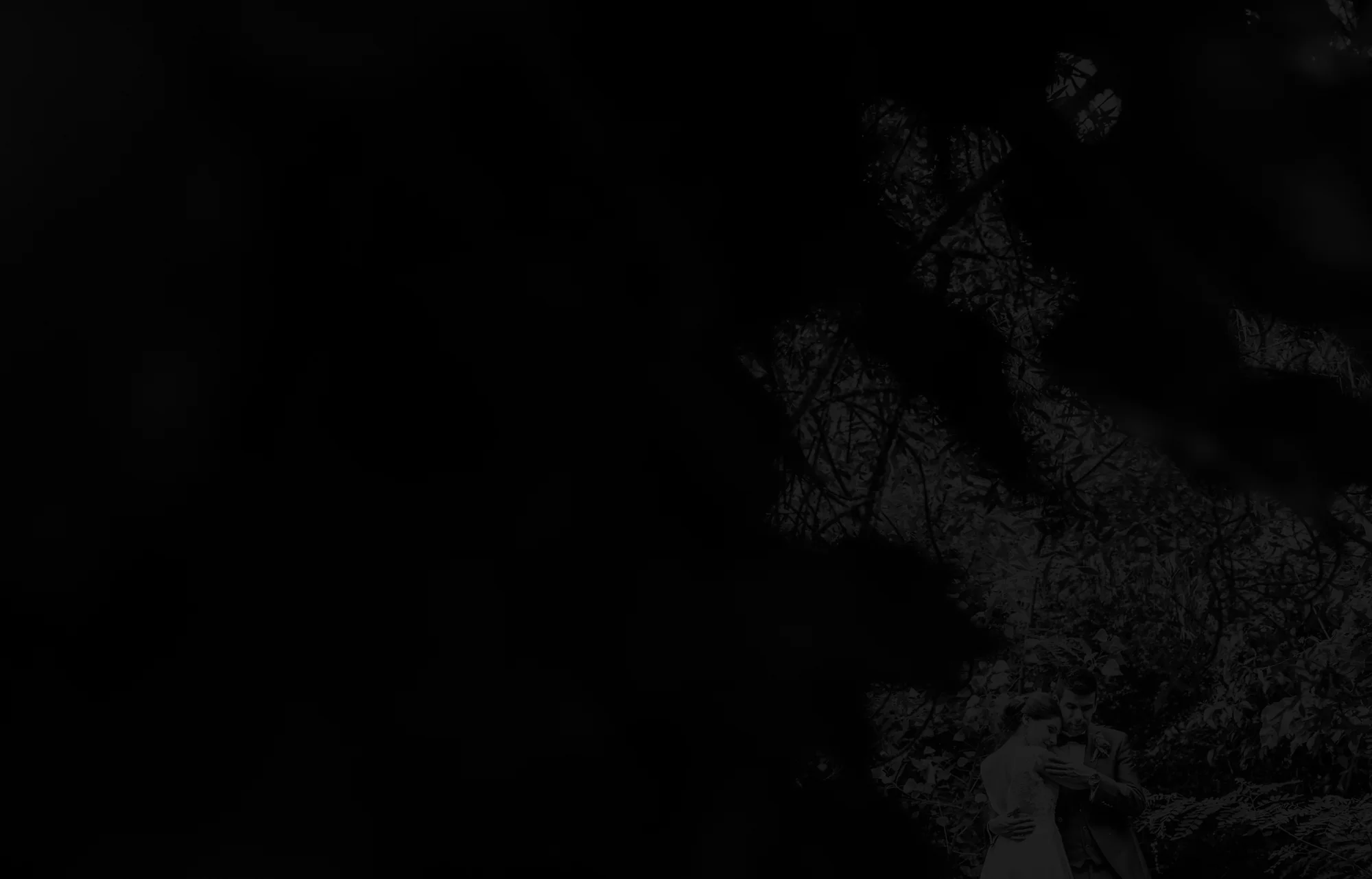 preview video 02 copy.jpg