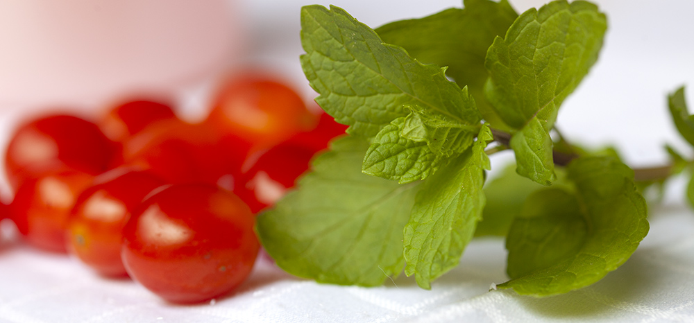 mint n tomato narrow.jpg