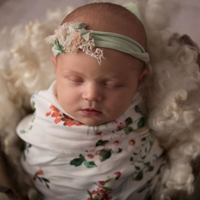 Oh Adelyn 😍 This little darling came all the way from Katherine to visit me 
#darwinphotographer #darwinphotography #darwinnewbornphotographer #darwinnewbornphotography #darwinnewborn #newbornphotographydarwin #newbornphotography #darwinfamilyphotog
