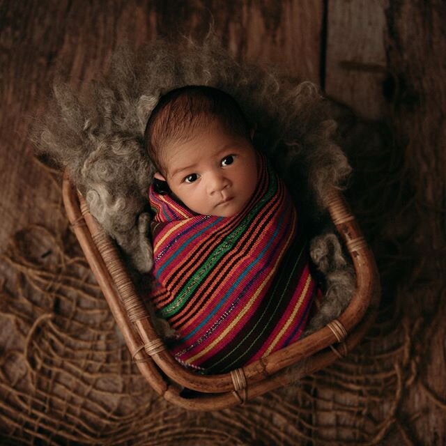 This gorgeous image was created using stunning traditional fabric to celebrate his Timorese culture 💗 Sweet Quintero 😍

#darwinphotographer #darwinnewbornphotographer #darwinnewbornphotography #newborn #newbornphotography #newbornphotographer #newb